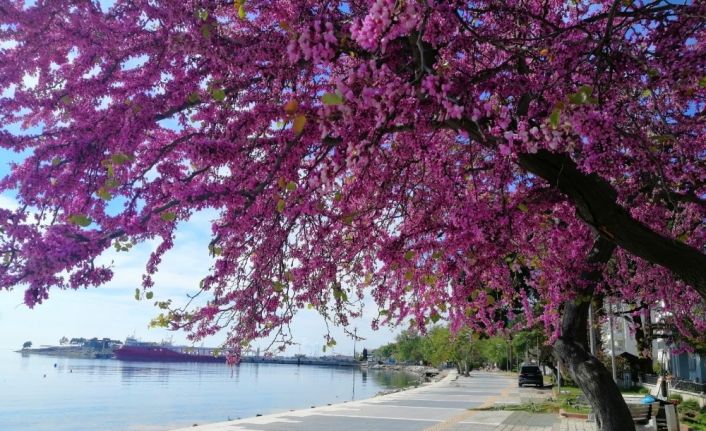 Turizm cenneti Erdek’te kartpostallık görüntüler