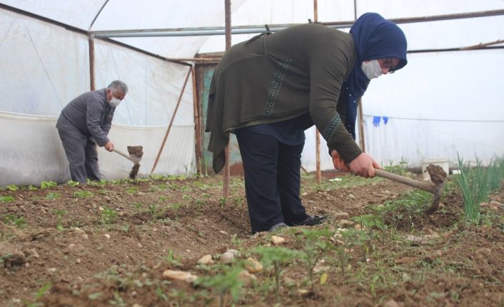 Uşak’ta tarımsal üretim ‘steril’ şekilde sürüyor