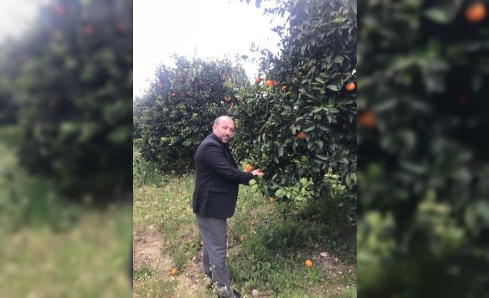 Yatırım uzmanı Altunç’tan salgın sonrası “Yeni dünya düzeninde Türkiye”  analizi