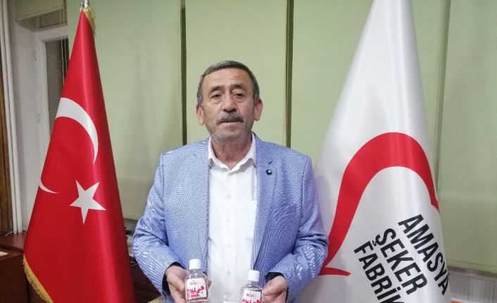 Yerli ve milli dezenfektanın ham maddesi Amasya’dan