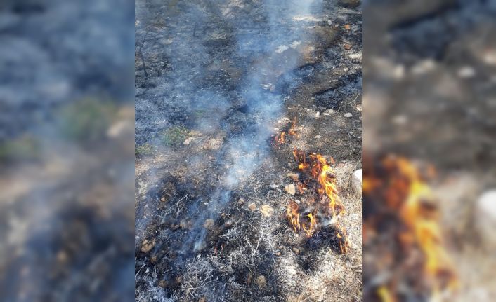 Hassa’da orman yangını, iki dekar alan zarar gördü