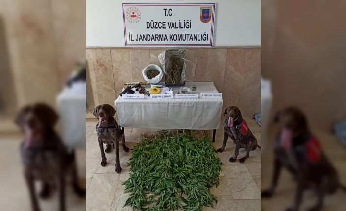 Uyuşturucu tacirlerine köpekli aramada suçüstü