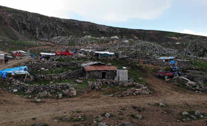 Artvin’de asırlık yaylacılık geleneği yaşatılıyor