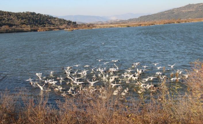 Azap Gölü’nde ekoturizm faaliyetleri yaygınlaşacak