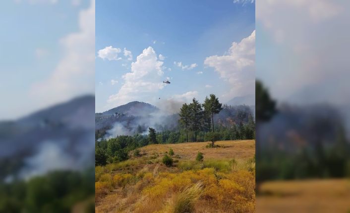 Denizli’de orman yangını 3 helikopterle kontrol altına alındı