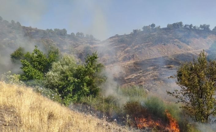 Elazığ’da 2 gün süren orman yangını söndürüldü