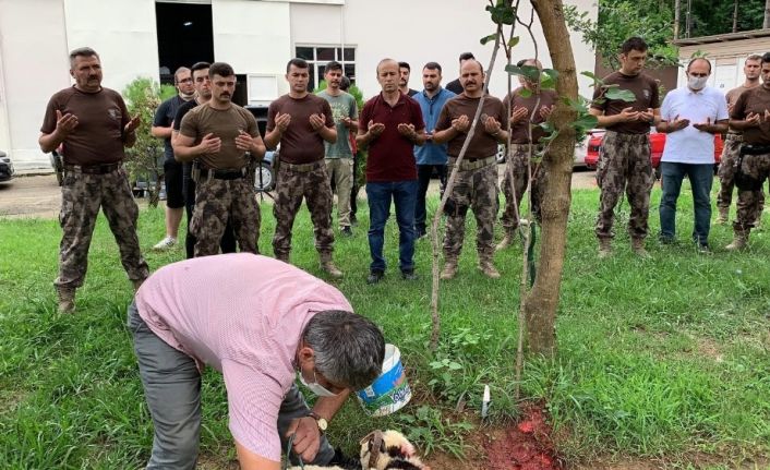 Giresun’dan 1 PÖH Timi Van’a gönderildi