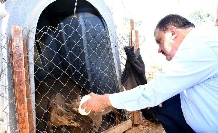 Gürkan’dan yaban hayatı gözlem merkezine ziyaret