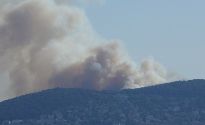 Heybeliada’da orman yangını