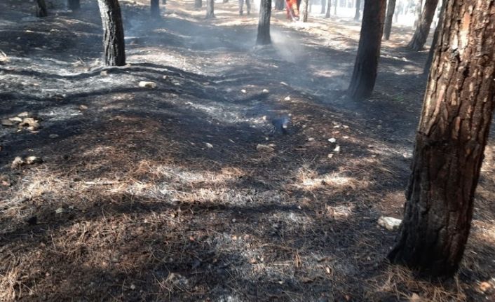 Kahramanmaraş’ta orman yangını