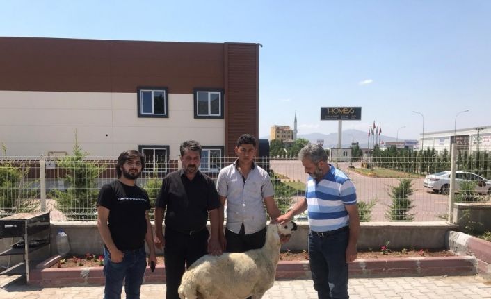 Kayseri’de Ayasofya için kurban kesildi