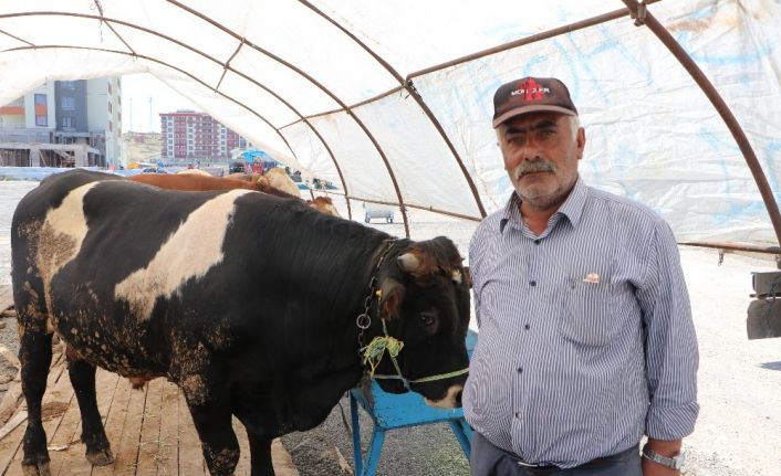 Kurban pazarlarında hareketlilik başladı