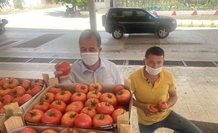 (Özel) Sarıcakaya domatesi piyasayı rahatlattı