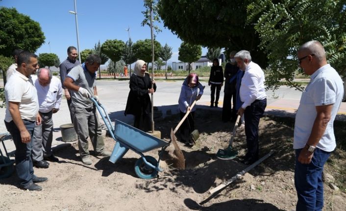 Rektör Şahin, mezuniyet hatırası olarak öğrencilerle fidan dikti