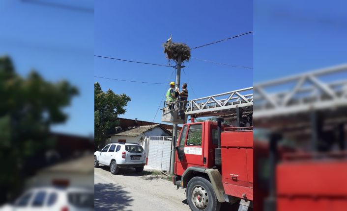 Rüzgarda yere düşen yavru leylekler yuvalarına konuldu