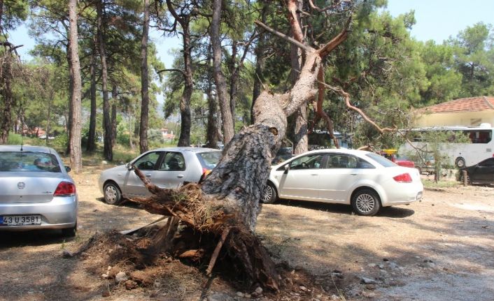 Tatil beldesinde faciaya ramak kala