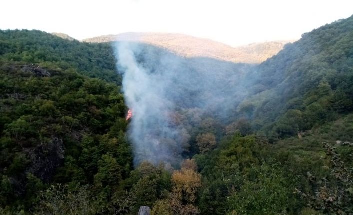 Cide’de çıkan orman yangını büyümeden söndürüldü