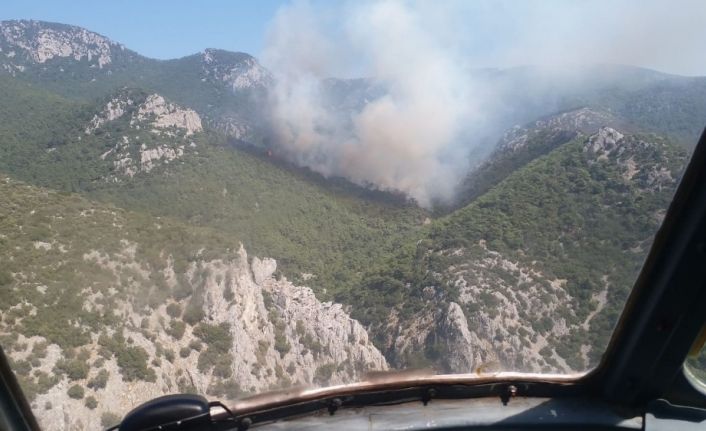 İzmir’de orman yangını: Ekipler müdahale ediyor