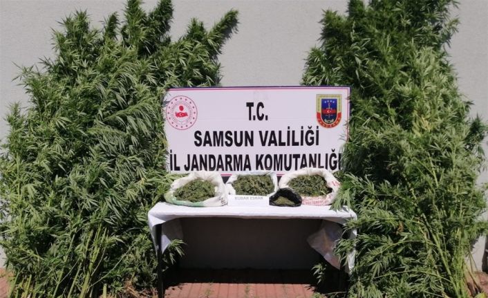 Jandarmadan uyuşturucuya geçit yok