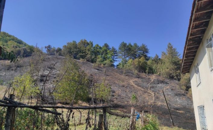 Safranbolu’da otluk alandaki yangın ormana sıçramadan söndürüldü