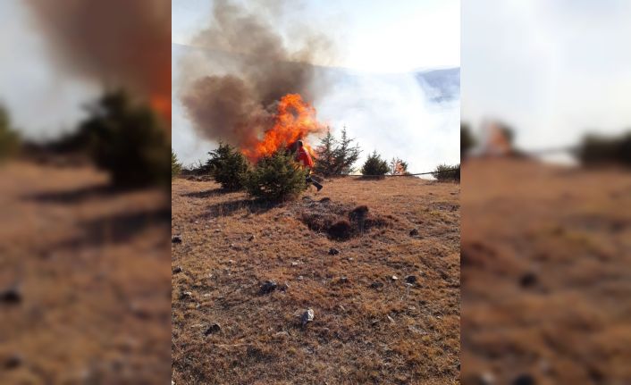 Uzunyurt Köyü’nde orman yangını