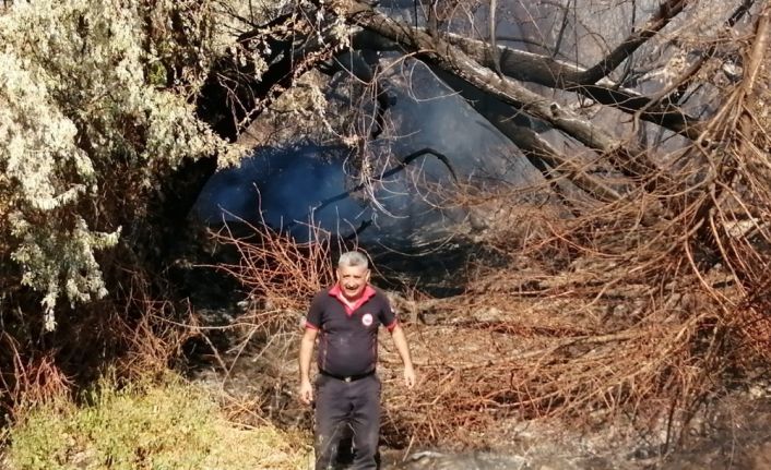 Yeşilhisar’da çıkan yangında ağaçlar kül oldu