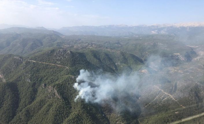 Antalya’daki yangında 10 hektarlık orman yandı