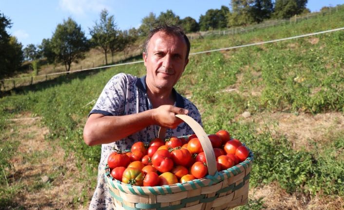 Doğal domateslerden elde ettiği 2 ton salçayı ihaleyle satışa çıkartacak