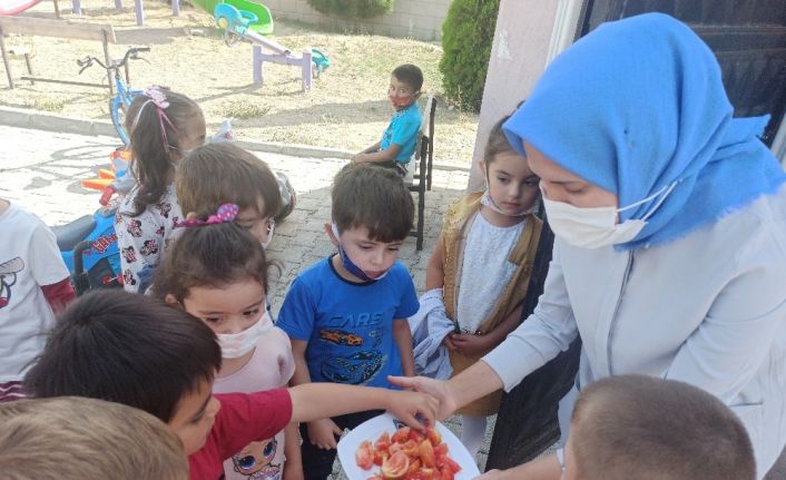 Doğal yaşamı anaokulunda öğreniyorlar