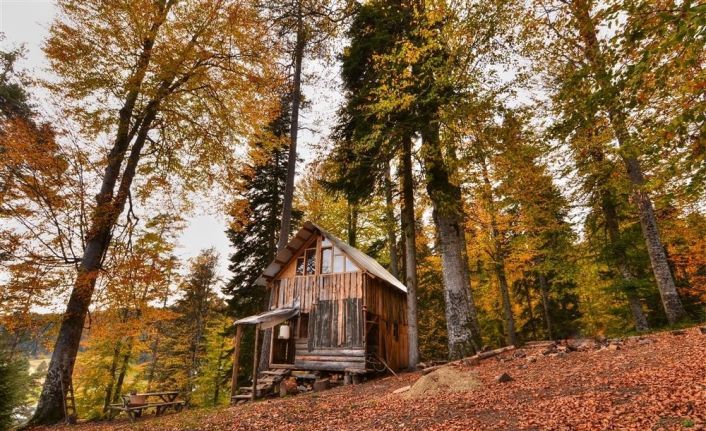 Düzce’nin yaylaları doğasever ve fotoğraf tutkunlarını bekliyor