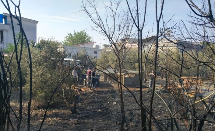 Erzin’de çıkan yangın evlere sıçramadan söndürüldü