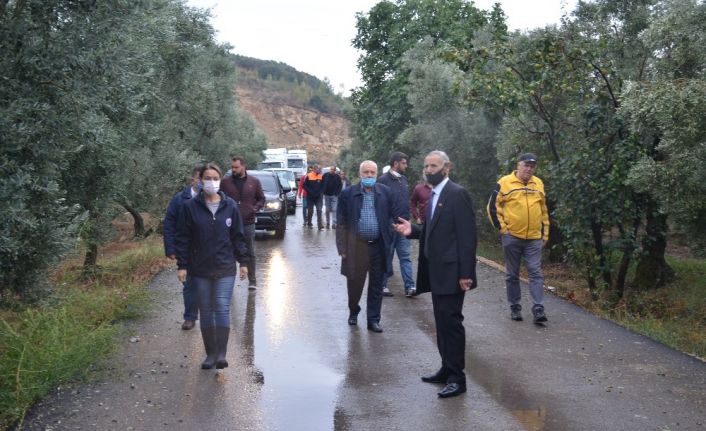 Gemlik Belediyesi bir kez daha zeytin üreticisinin yanında