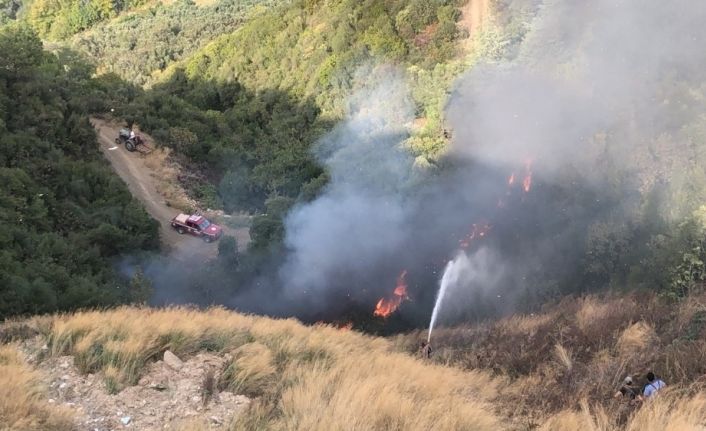 Gemlik Umurbey’de orman yangını