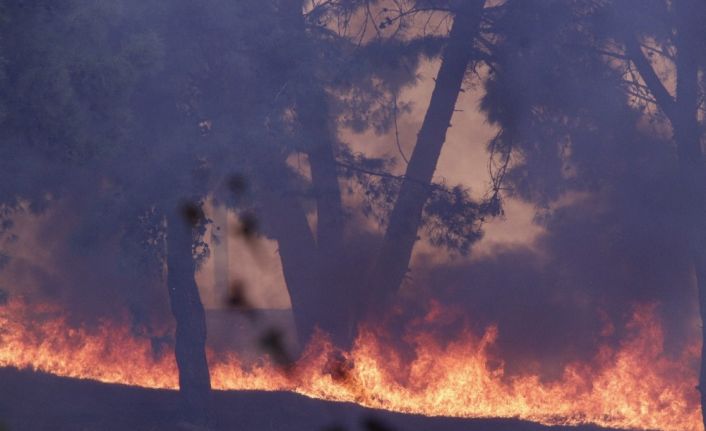 Hatay’daki yangın farklı noktalara sıçradı