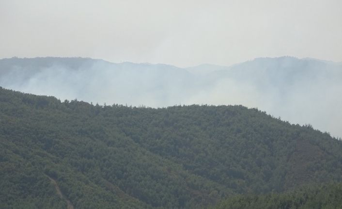 Hatay’ın Suriye sınırında orman yangını