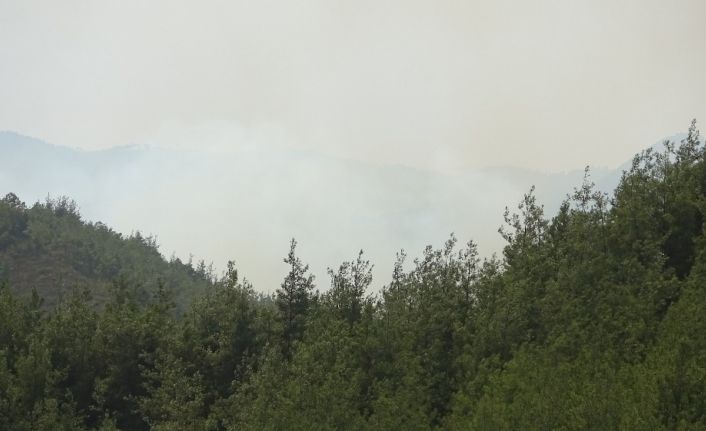 Hatay’ın Suriye sınırındaki orman yangını devam ediyor