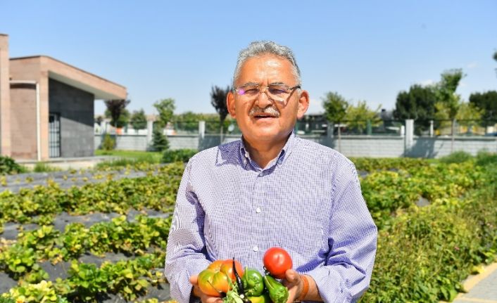 Hobi bahçelerinin kullanım hakkı 1 yıl uzatılacak