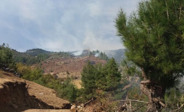 Kahramanmaraş’ta dün çıkan orman yangını kontrol altına alındı