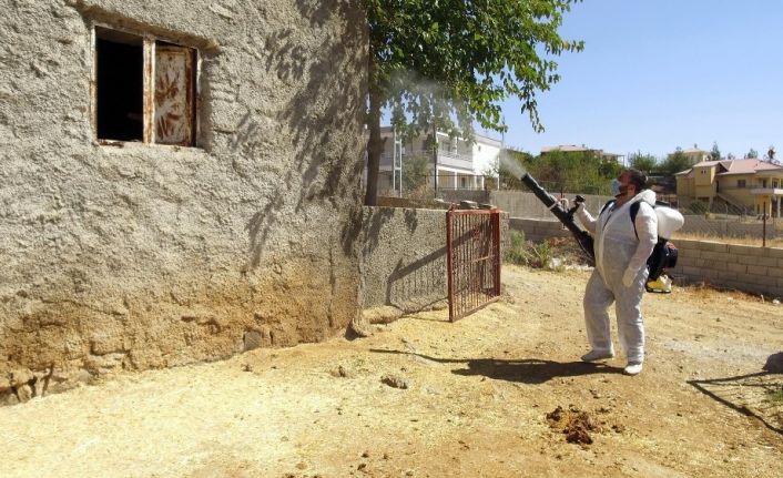 Kahramanmaraş’ta ‘Üçgün’ hastalığına karşı ilaçlama