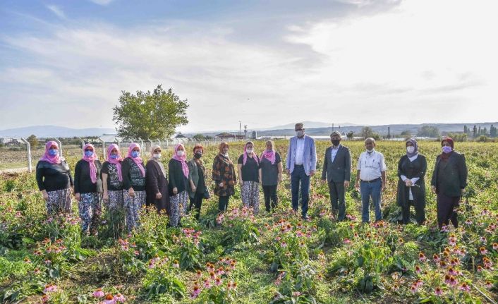 Karacabey, kadın girişimcileriyle de örnek oluyor