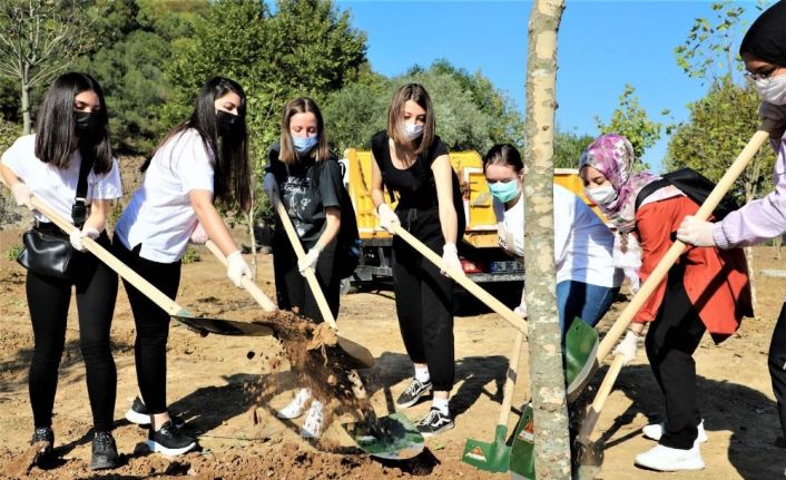 Kocaeli’deki gençler Hatay’daki orman yangını için fidan dikti