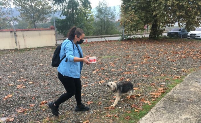 Kümesine giren köpeği sopayla döven şahıstan şikayetçi oldular