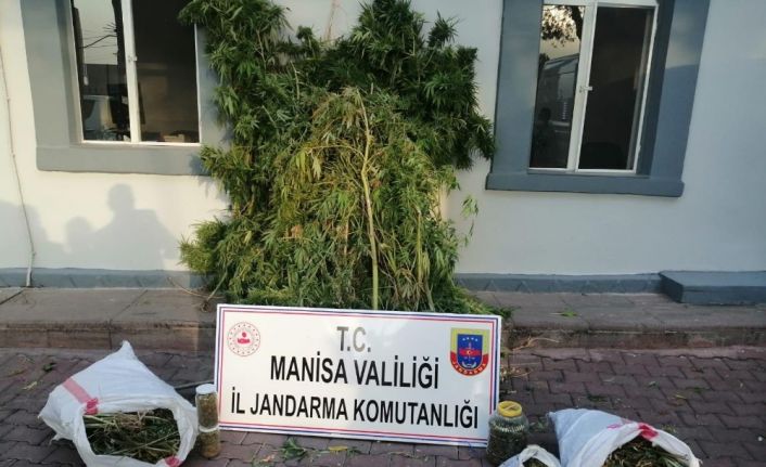 Manisa’da uyuşturucu operasyonu