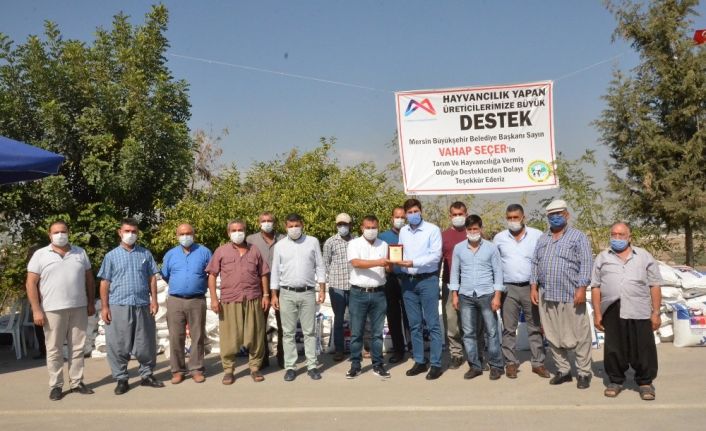 Mersin’de süt üreticilerine kaba yem tohumu desteği