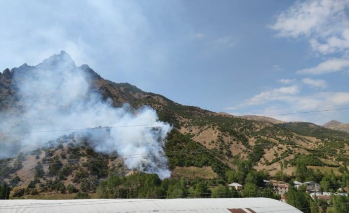 Şemdinli’de orman yangını