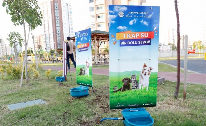 Sokak hayvanlarına yeni suluk