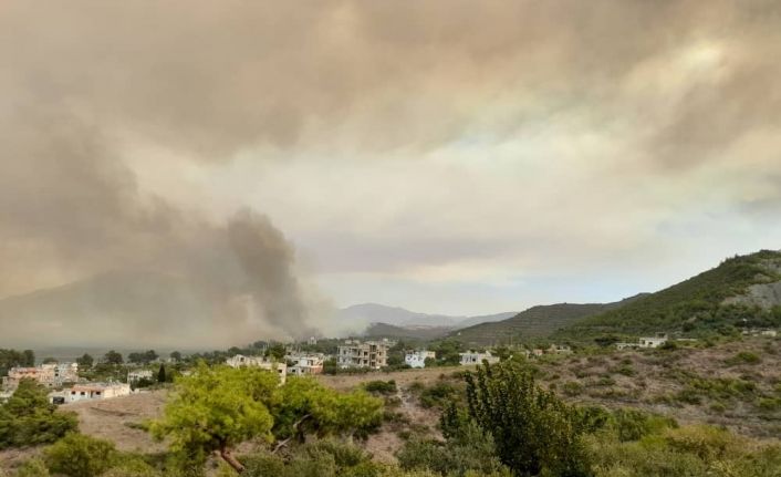 Suriye’de orman yangını çıktı, dumanı Samandağ’ı kapladı