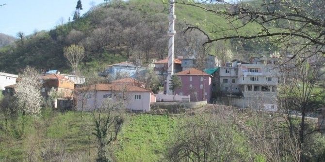 Tarlaya giden genç kız ağaca asılı halde bulundu