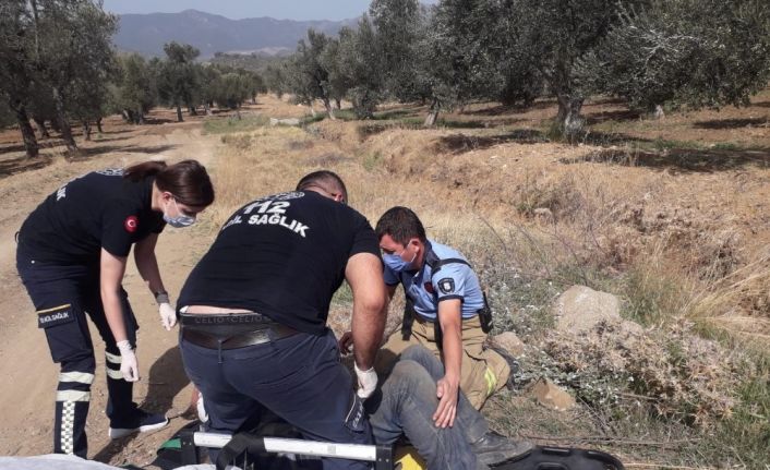 Traktör zeytin ağacına çarptı, kazada bir kişi yaralandı