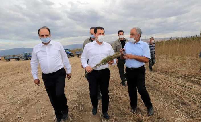 Vali Masatlı, Gökhöyük Tarım İşletmesinde incelemelerde bulundu